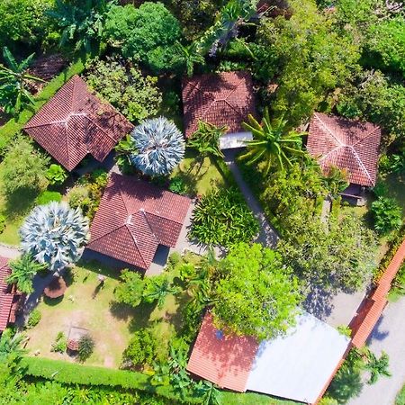 Casa Marcellino Lodge Cahuita Exterior foto