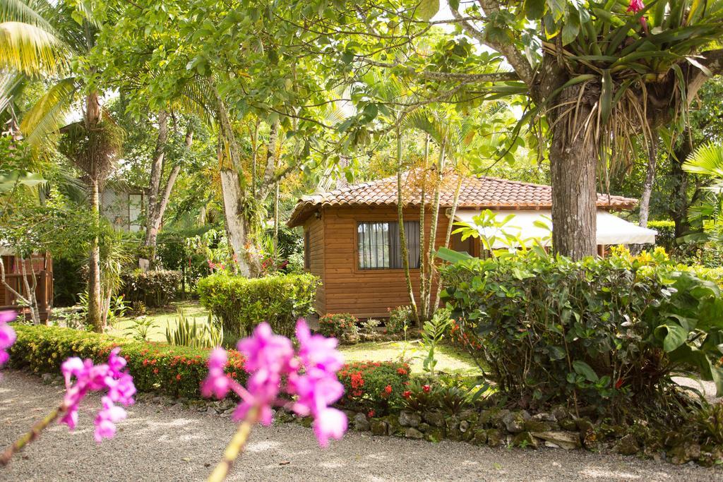 Casa Marcellino Lodge Cahuita Exterior foto