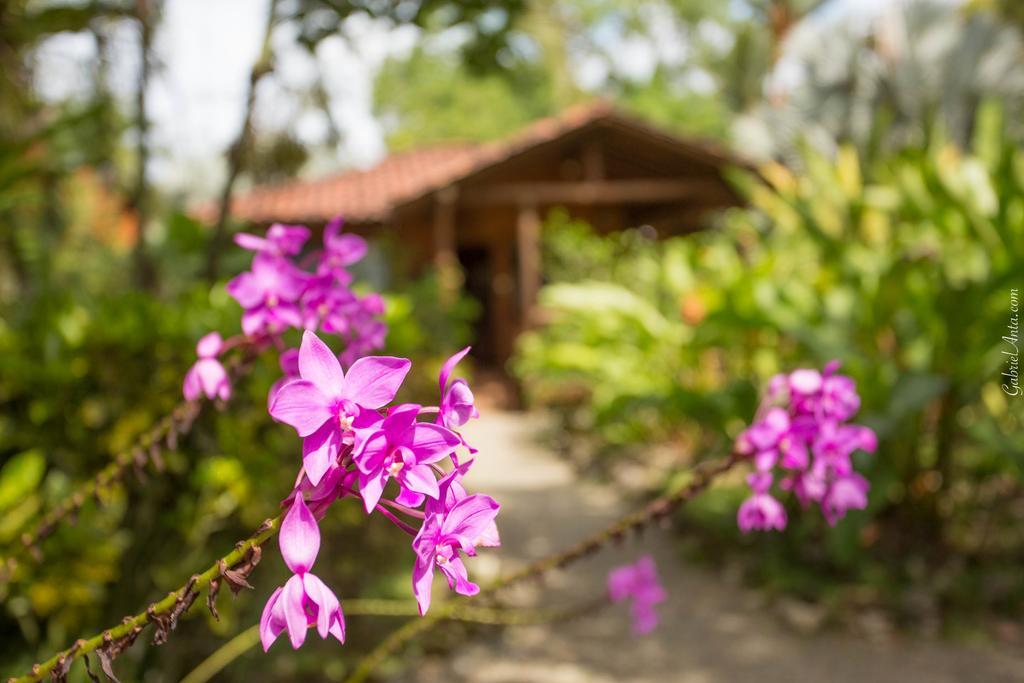 Casa Marcellino Lodge Cahuita Exterior foto