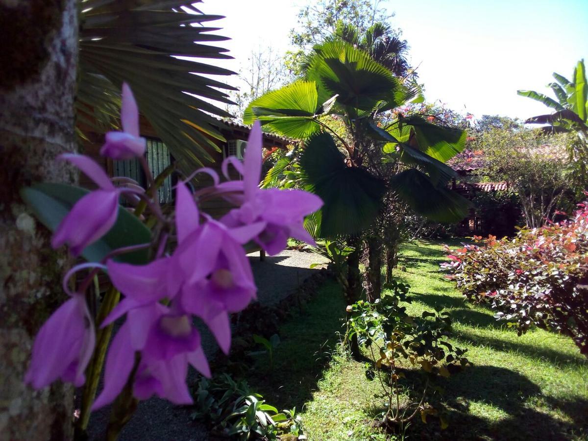 Casa Marcellino Lodge Cahuita Exterior foto