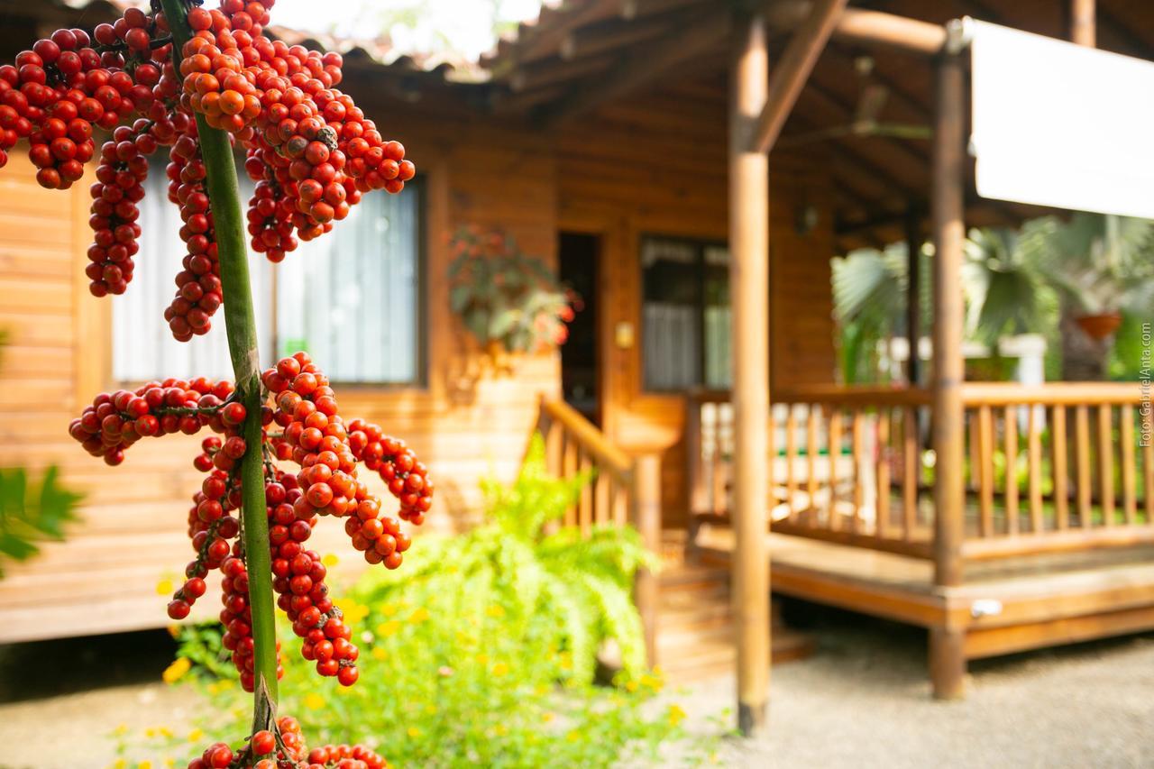 Casa Marcellino Lodge Cahuita Exterior foto