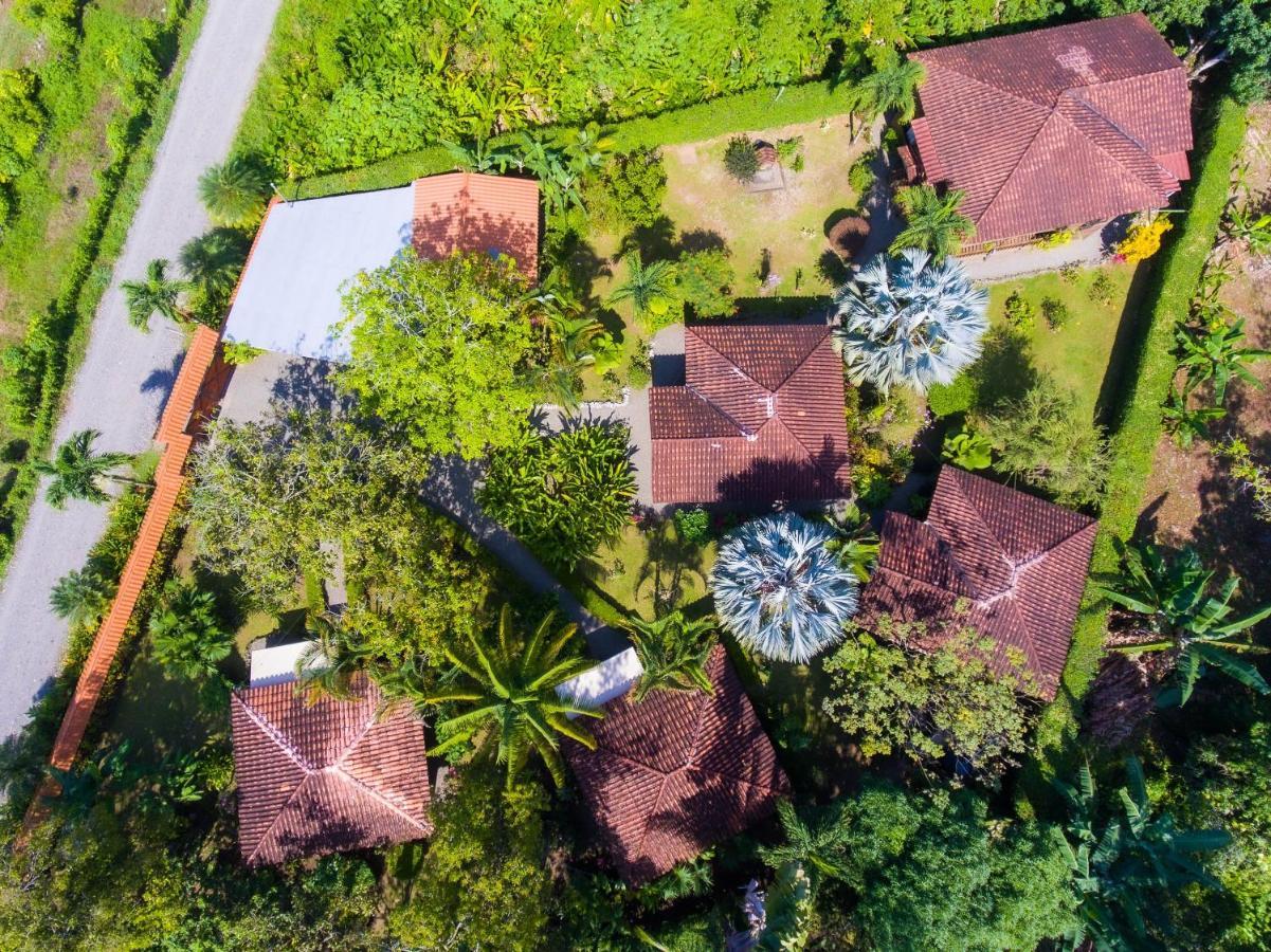 Casa Marcellino Lodge Cahuita Exterior foto